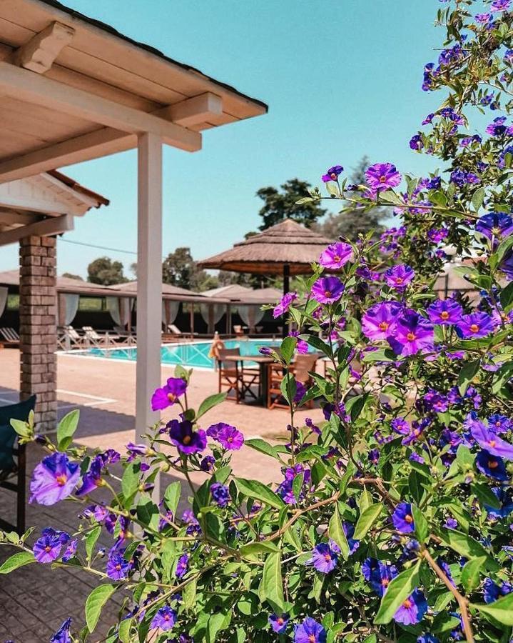 Hotel Kalamitsi Apartments Preveza Eksteriør billede
